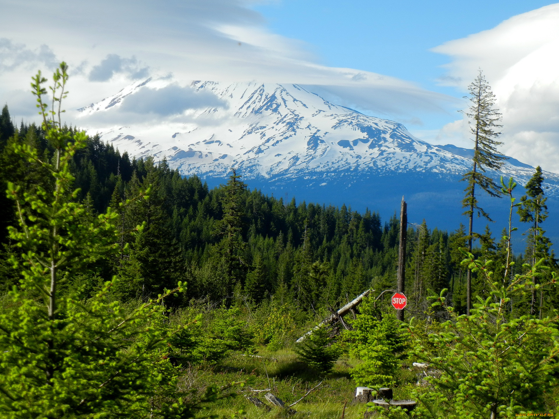 gifford, pinchot, national, forest, washington, usa, , , 